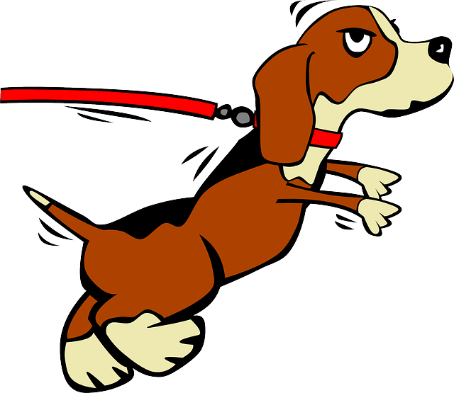 Los dueños de perros no tienen escrúpulos